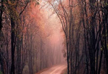 莱比锡告捷!德甲新贵成功晋级强