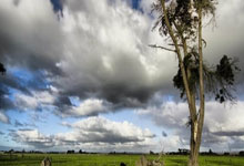 自行车比赛迎来激烈角逐热血飙速