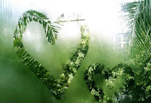 澳大利亚篮球联赛新星涌现，悉尼幻影队势不可挡