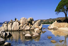 中国女足表现出色,进入国际足联女足世界杯四强